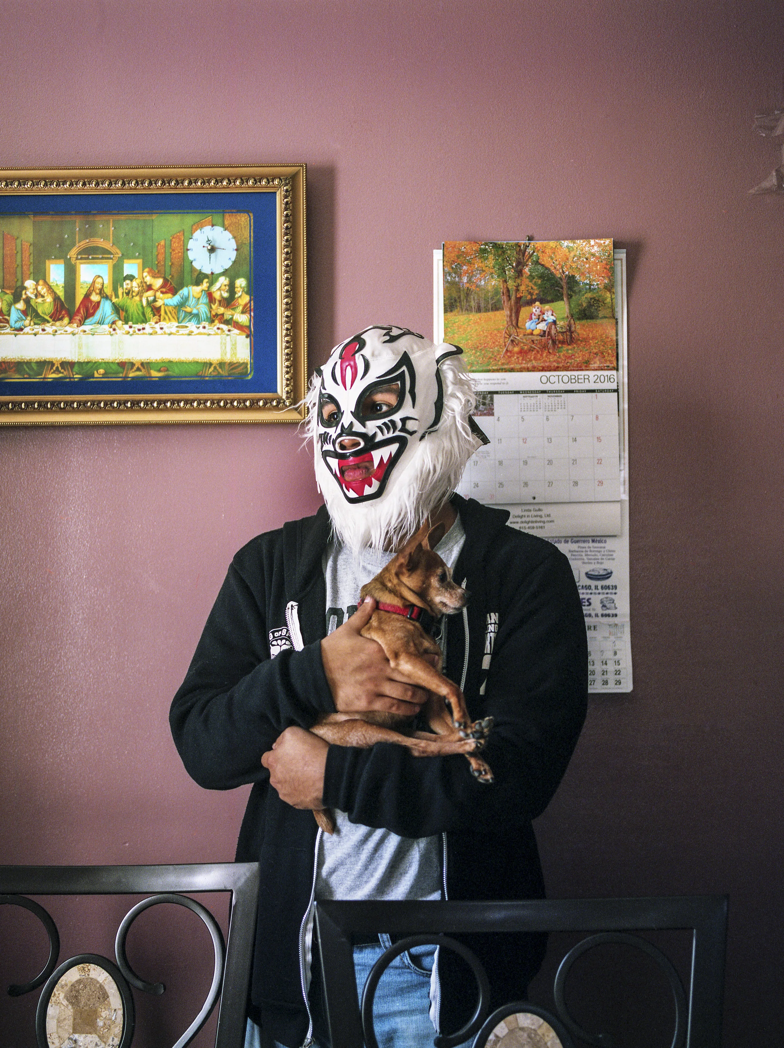 Wild Liger, 2016