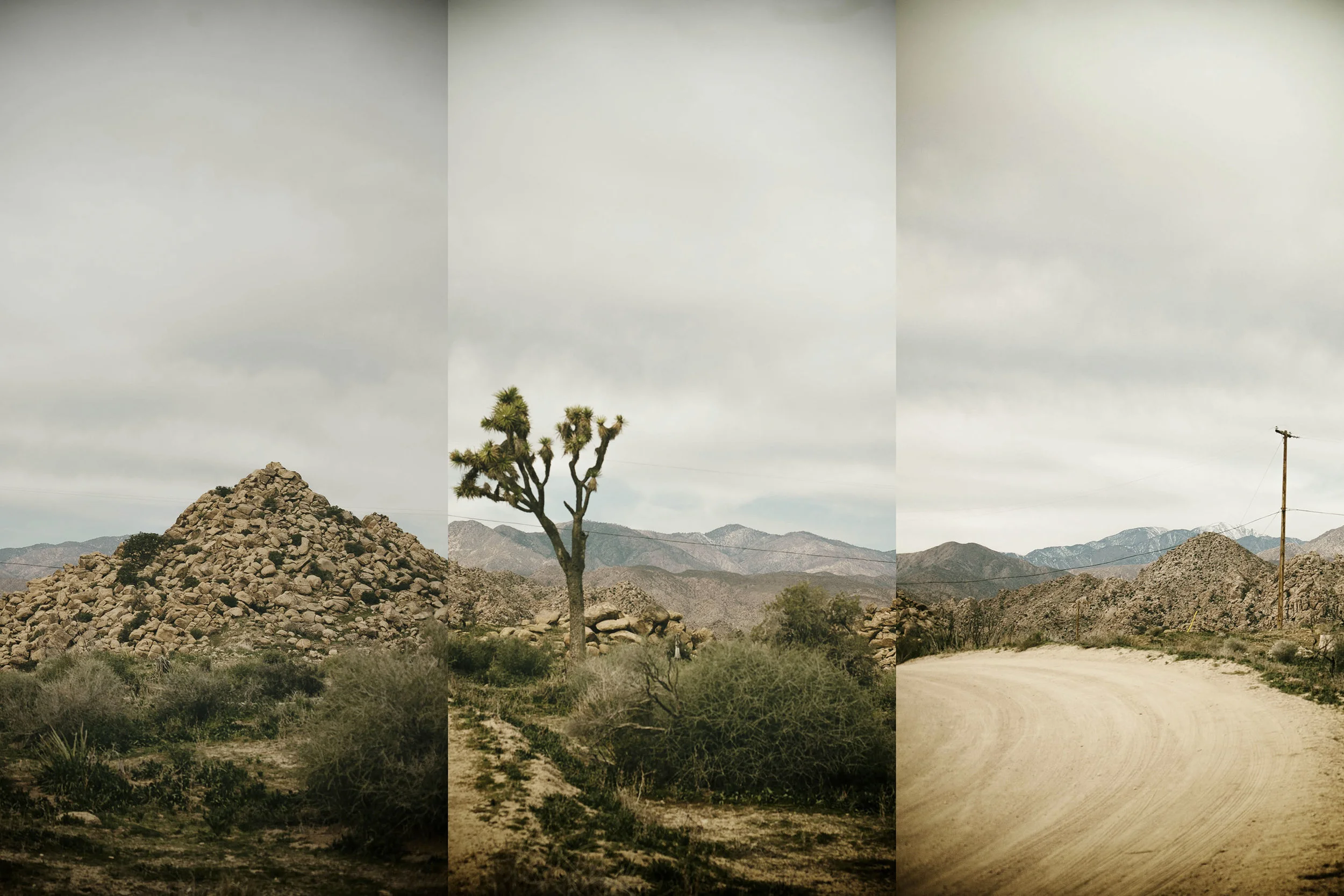 Joshua Tree 7.5, 2016
