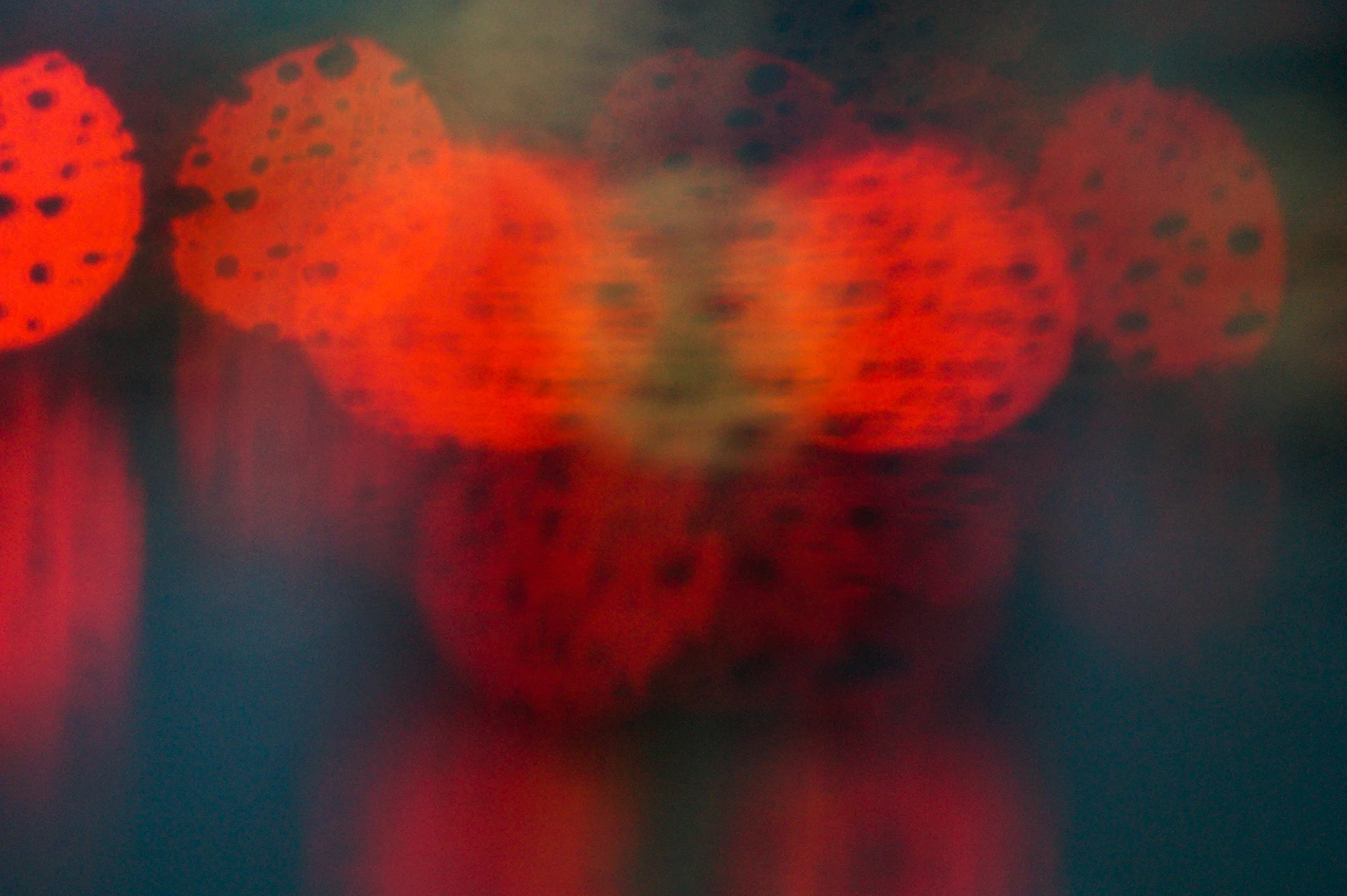 Untitled, 2016