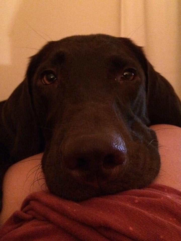 Mr Trigger