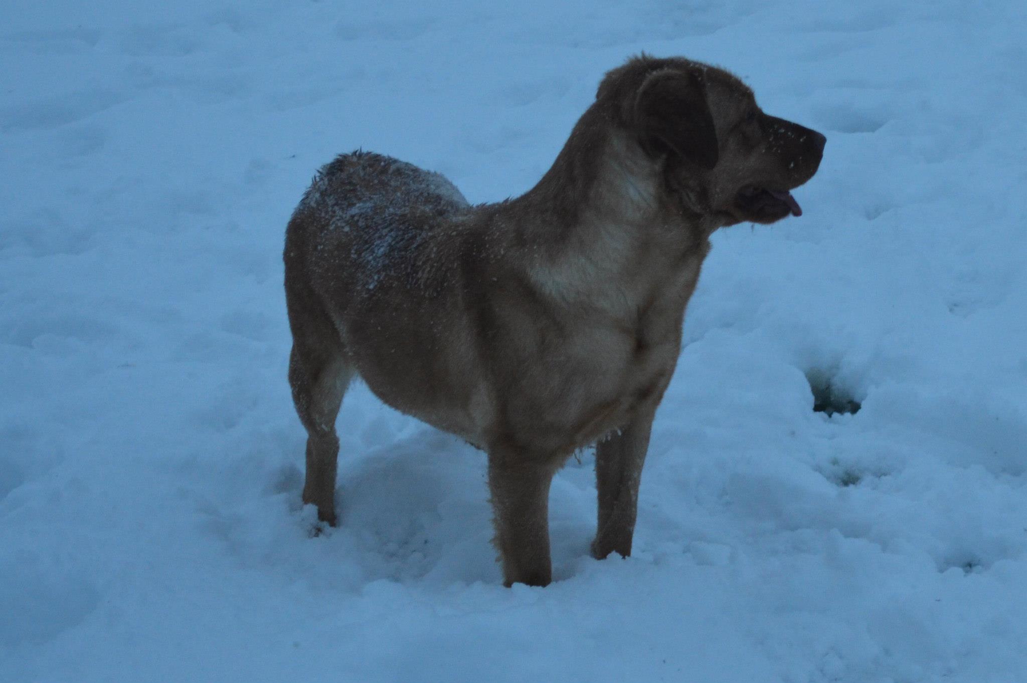 Phoenix_Snow.jpg