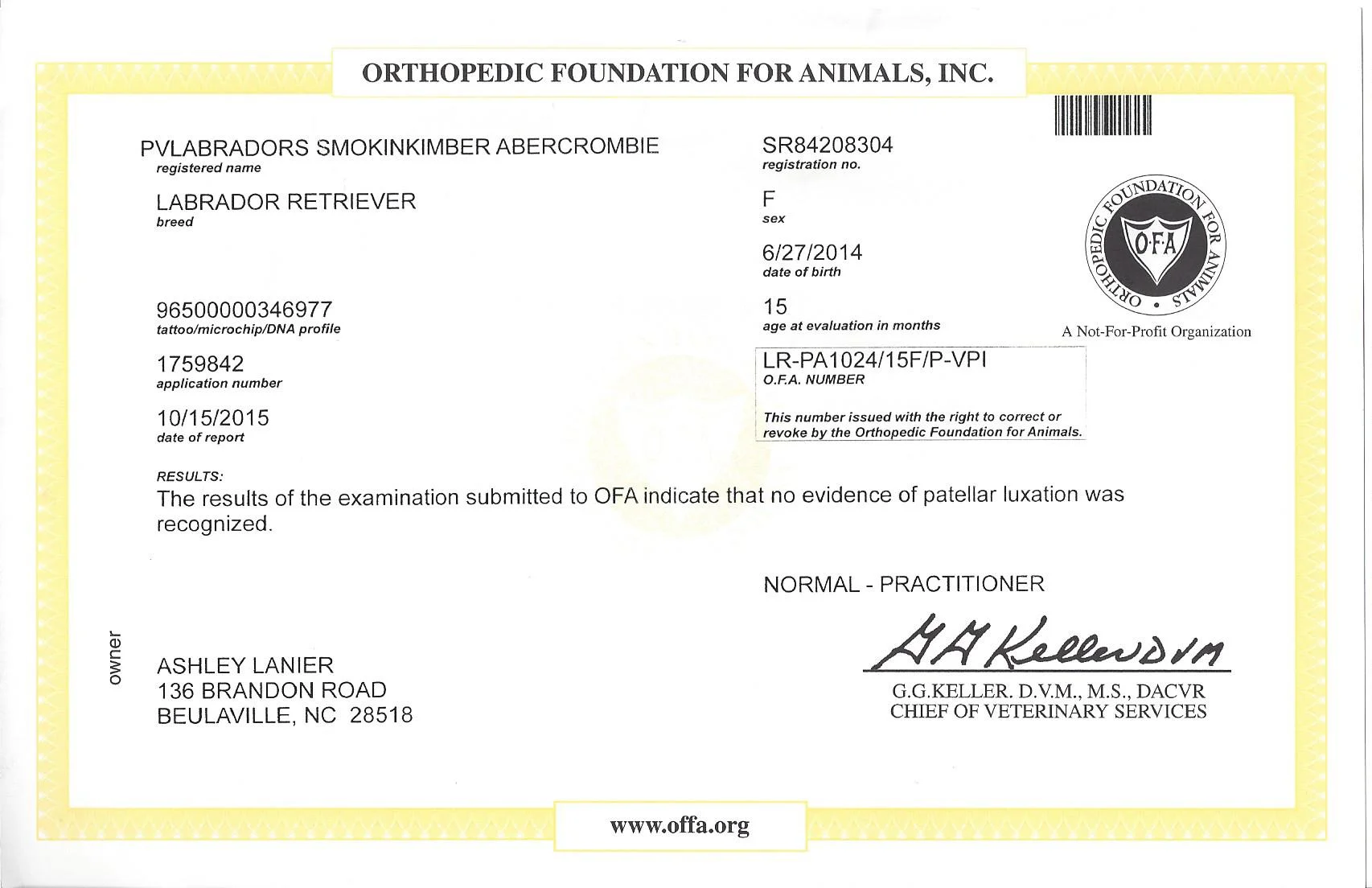 Kimber OFA_Patella.jpeg