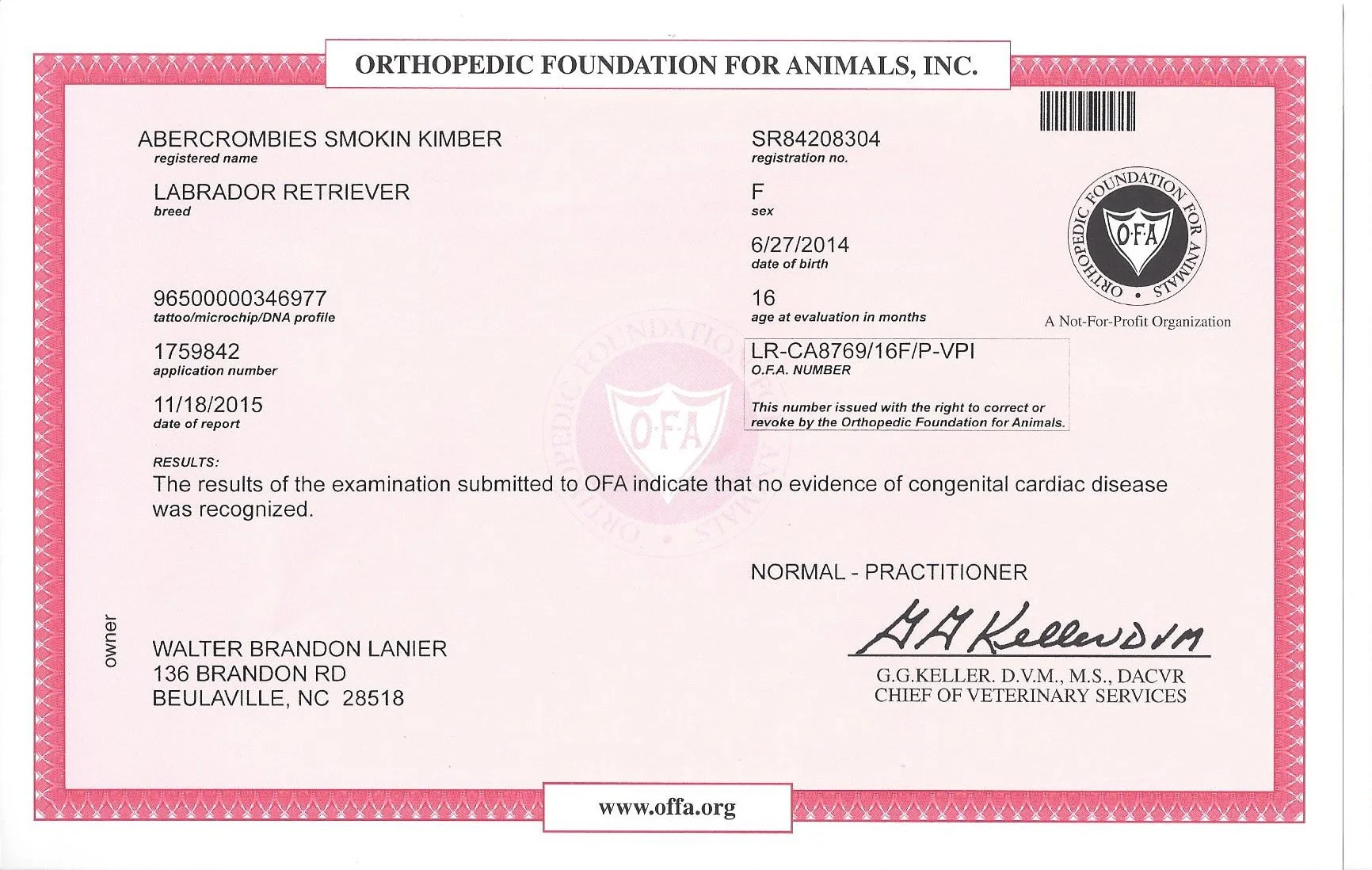 Kimber OFA_Cardiac.jpeg