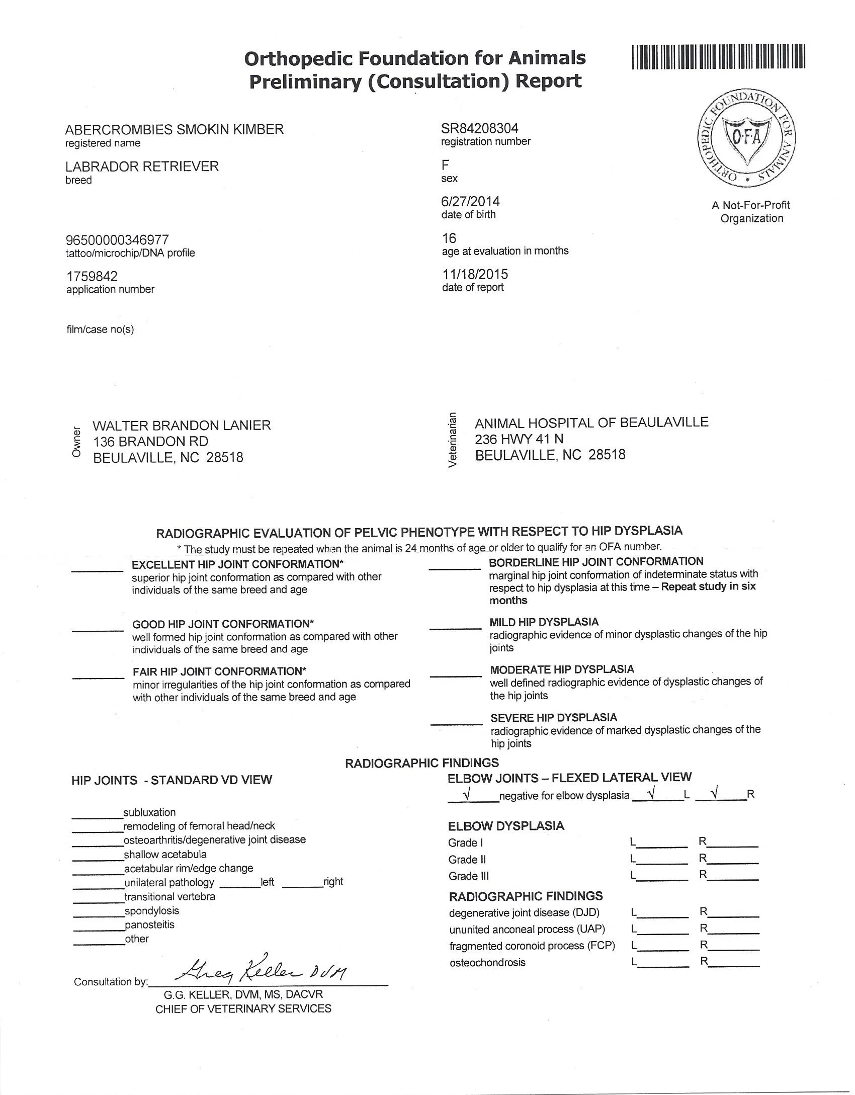 Kimber OFA_Elbow.jpeg