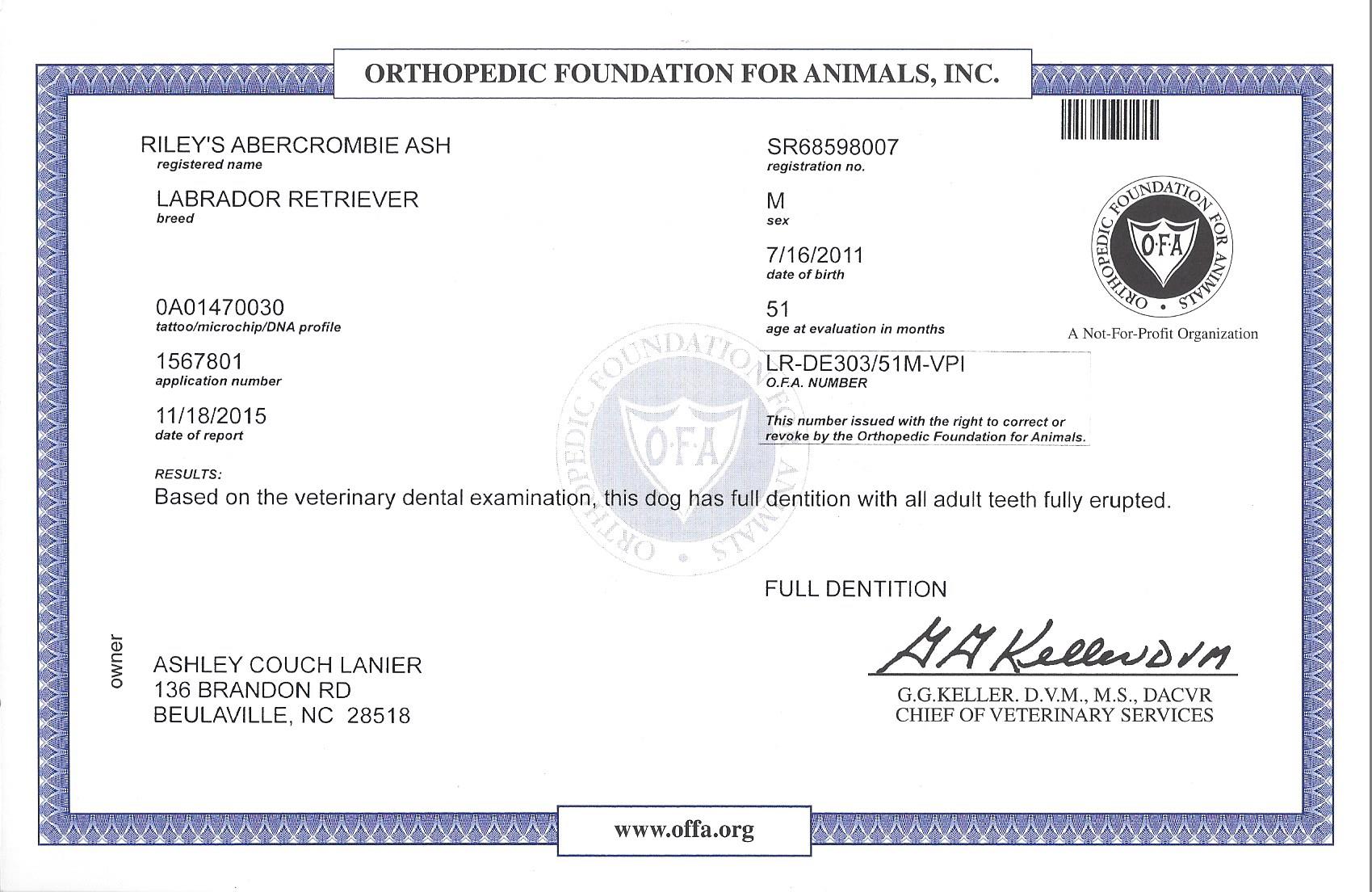 Riley OFA_Dentention.jpeg