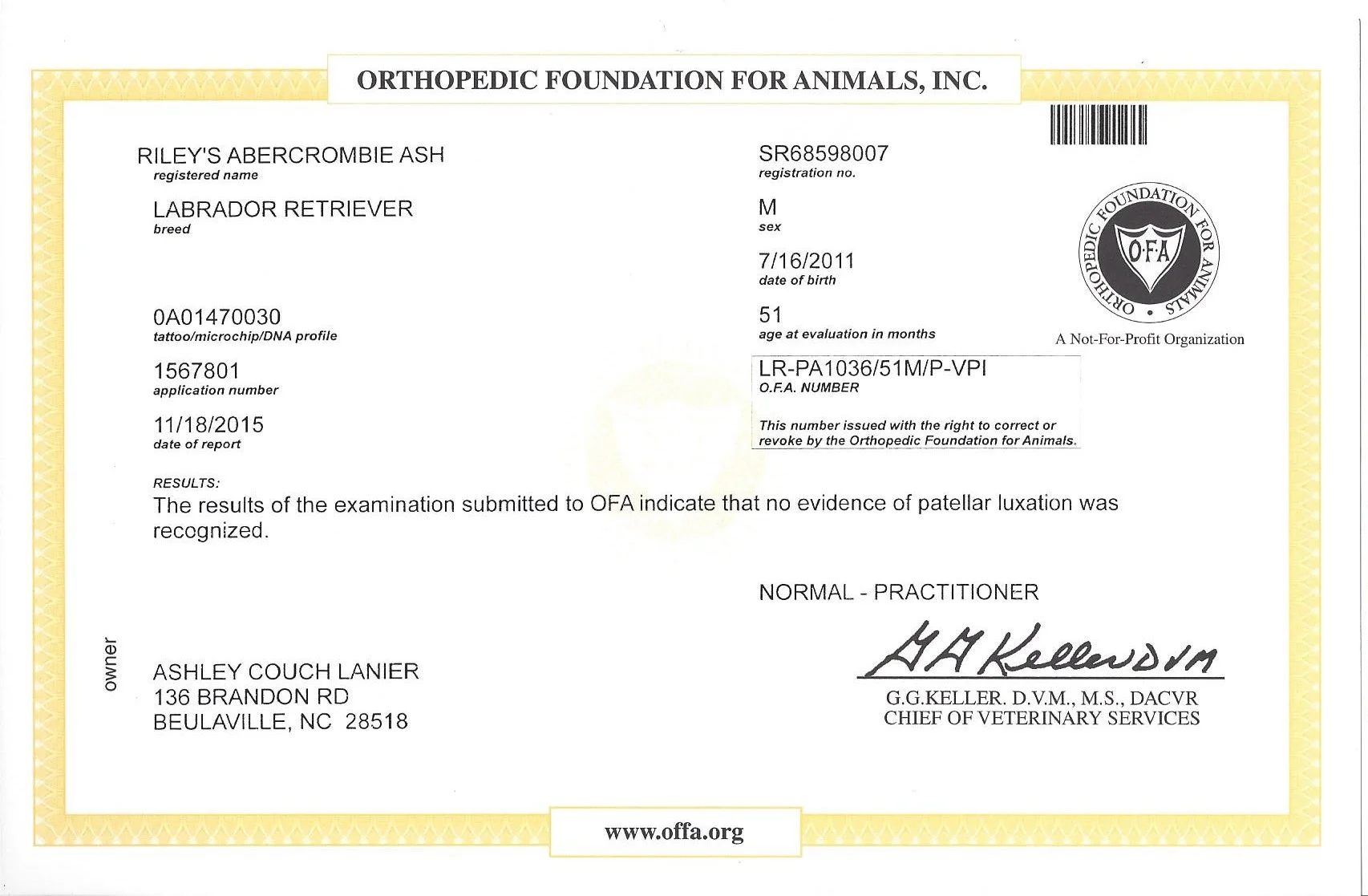 Riley OFA_Patella.jpeg