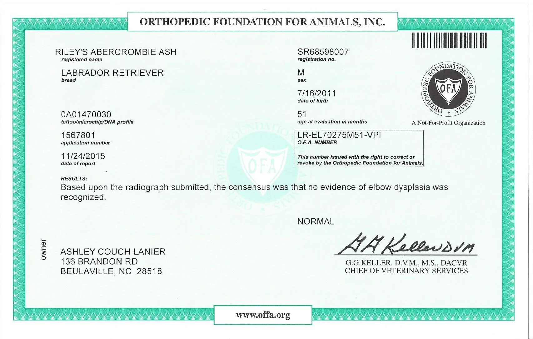 Riley OFA_Elbow.jpeg