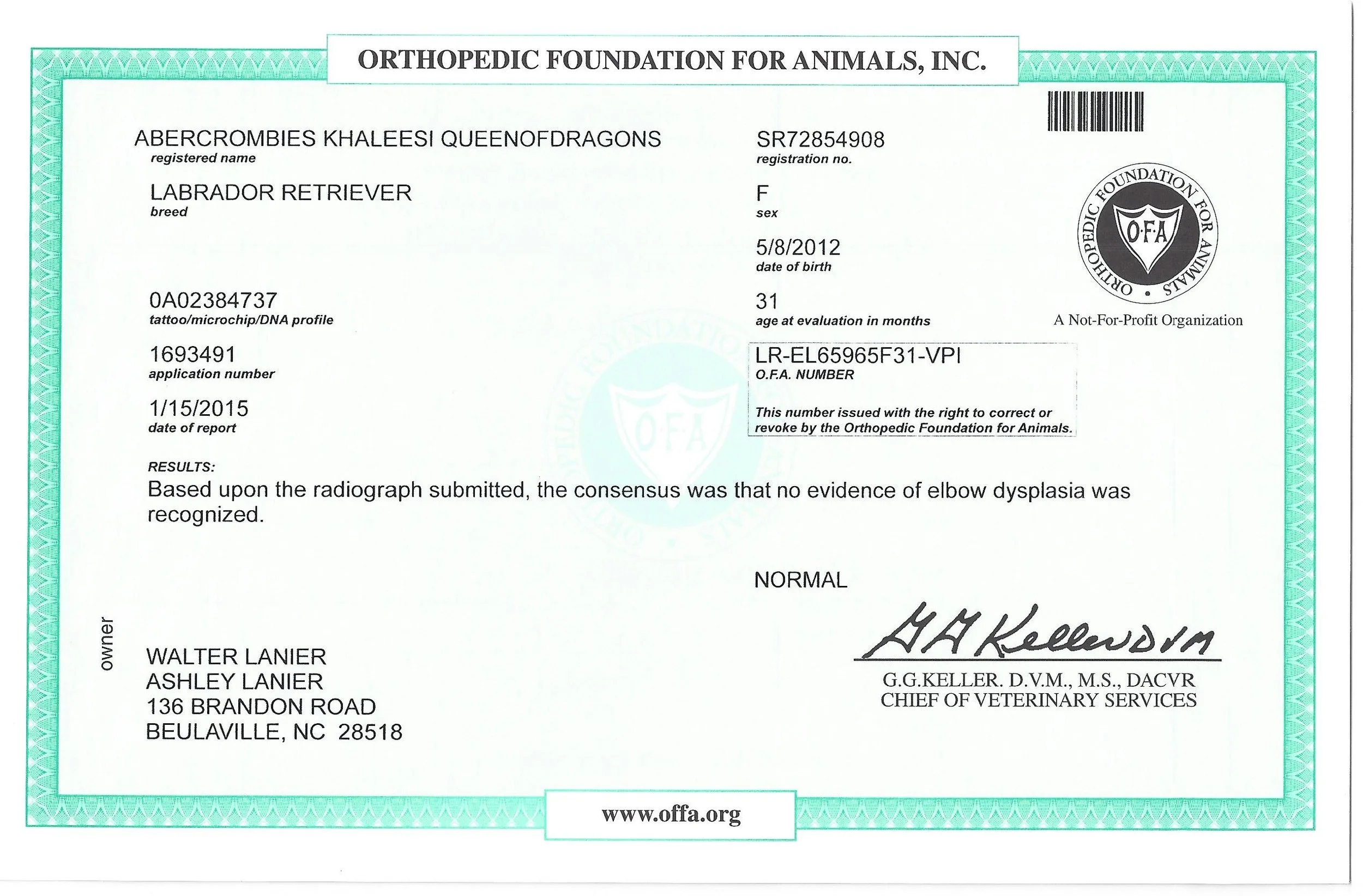 Khaleesi OFA_elbow.jpg