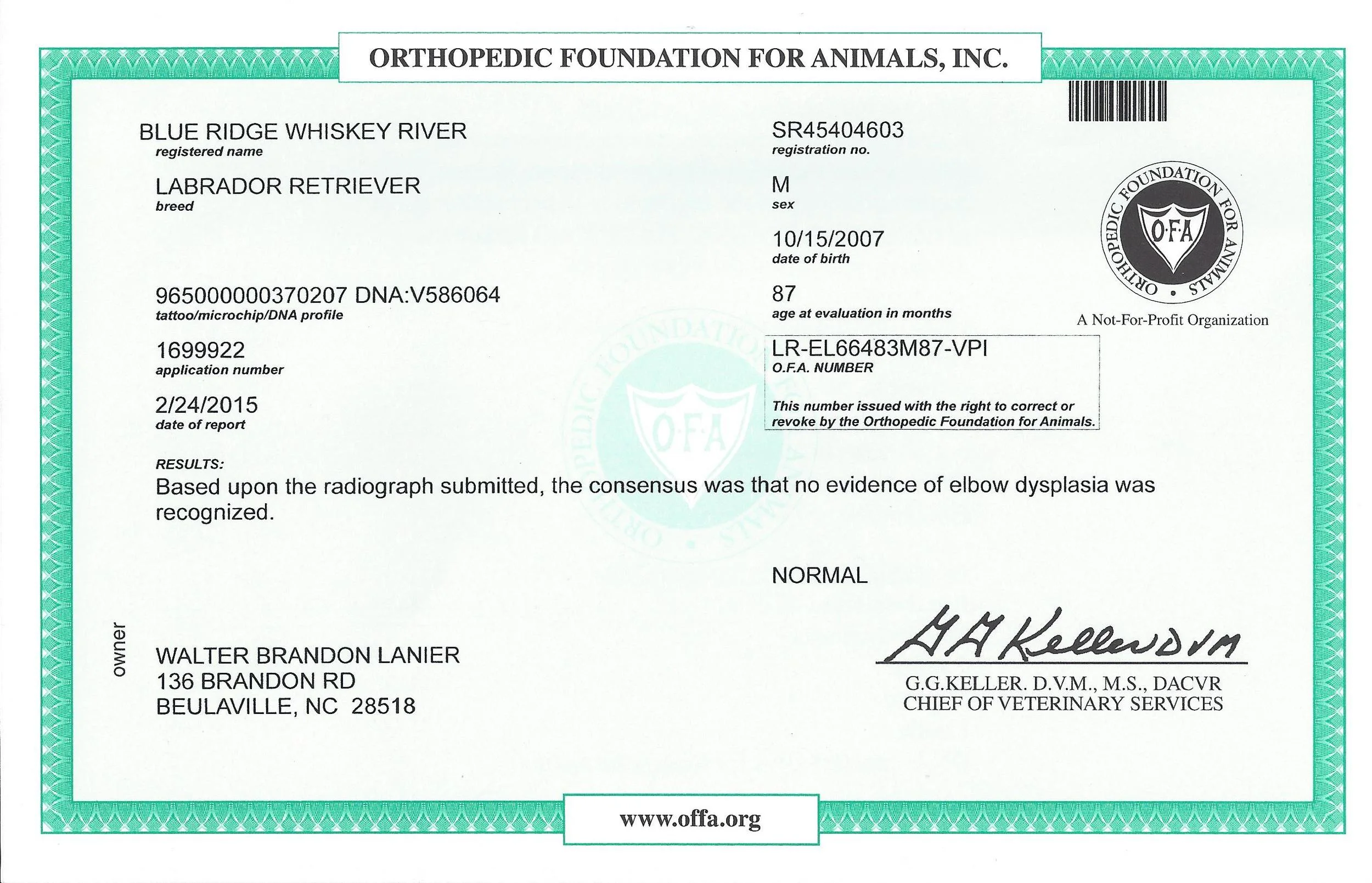 Whiskey OFA_Elbow.jpg