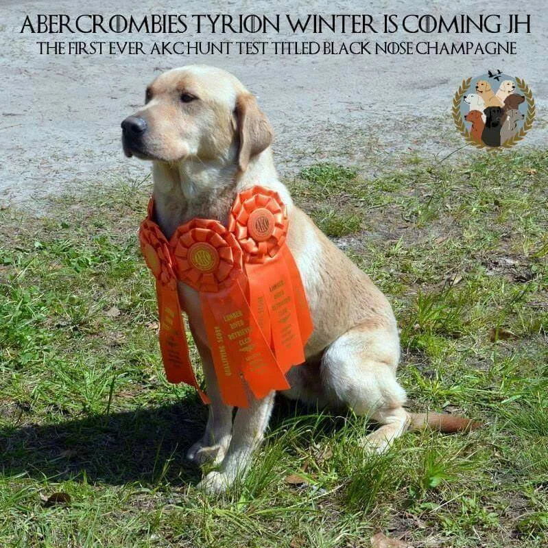 Abercrombies Tyrion Winter Is Comin JH