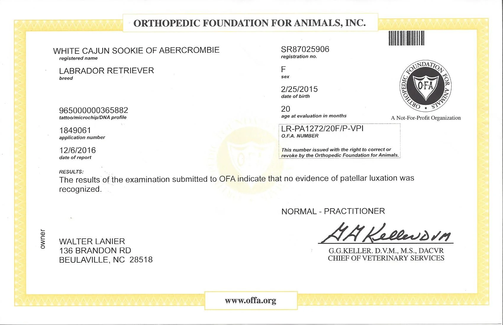 Sookie OFA_Patella.jpg