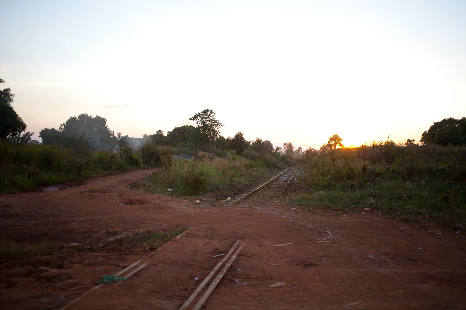 lsmi-32.jpg