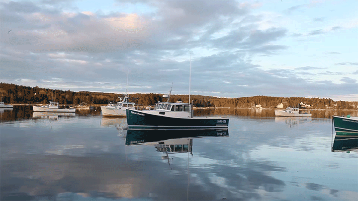 Coming Soon: The Lobster Coast