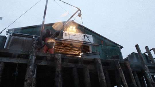 Coming Soon: The Lobster Coast