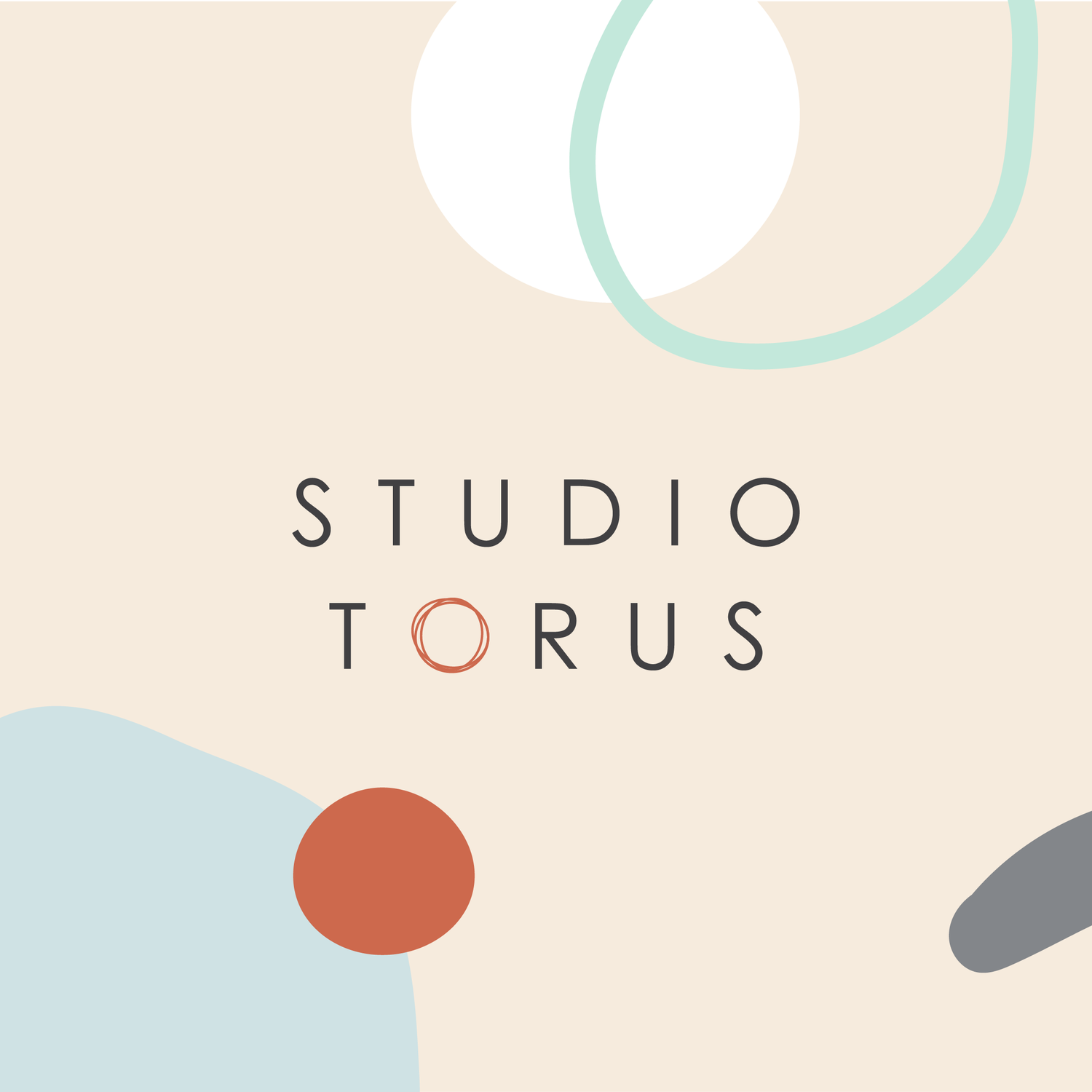 Studio torus.png