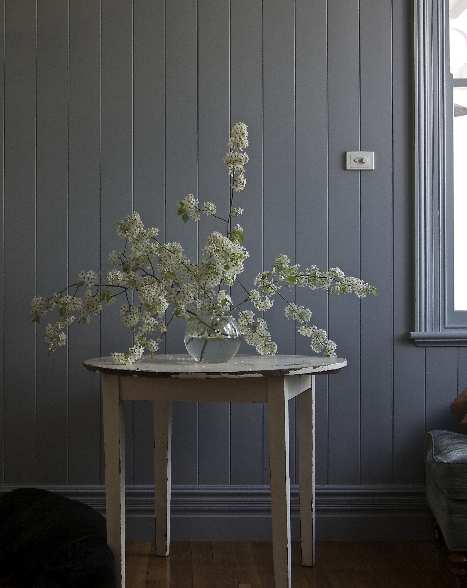 Georgie's manchurian blossoms at home