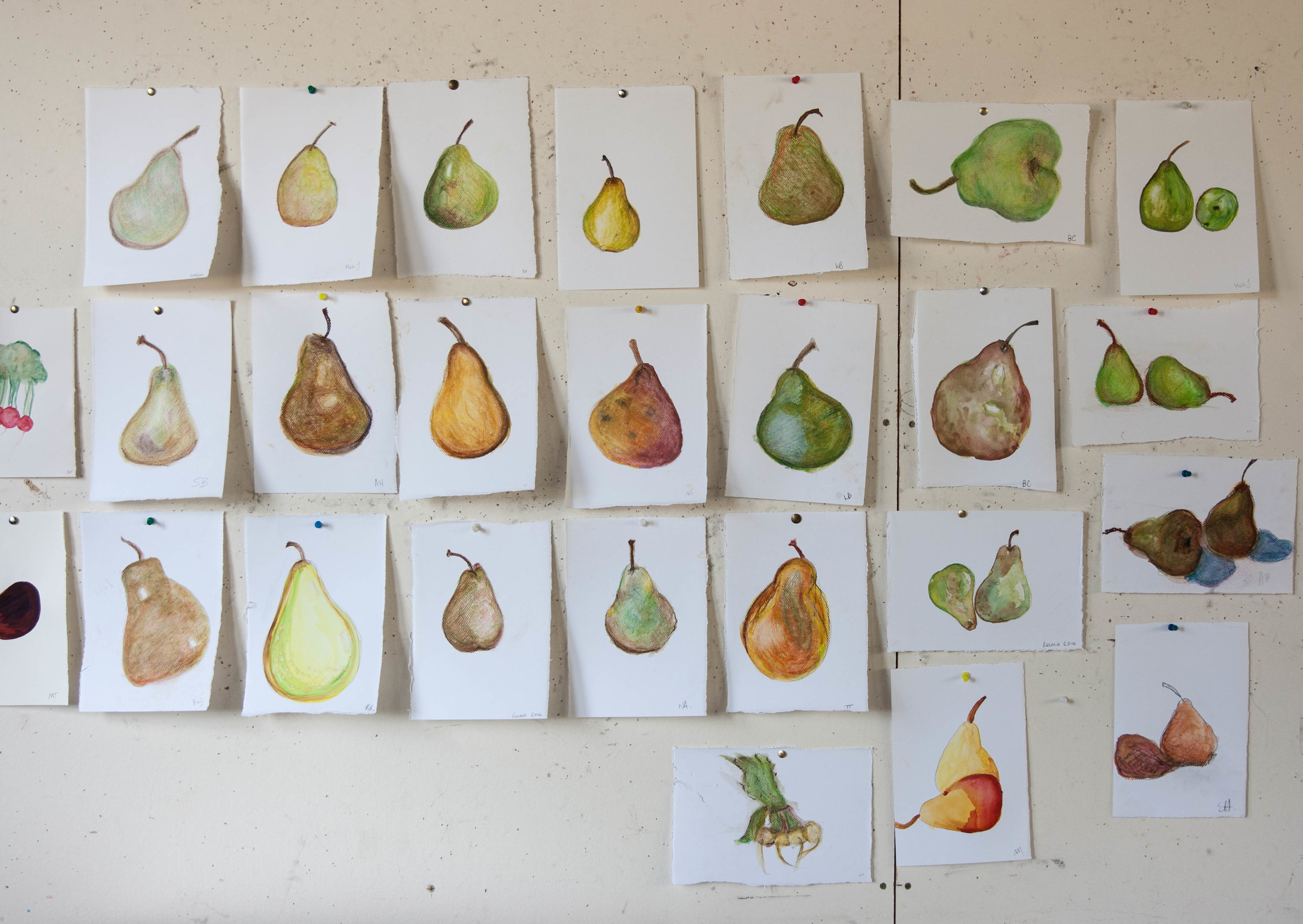 Sophie's mother Annie Herron gave us a drawing class. She holds week long art classes at her property throughout the year.