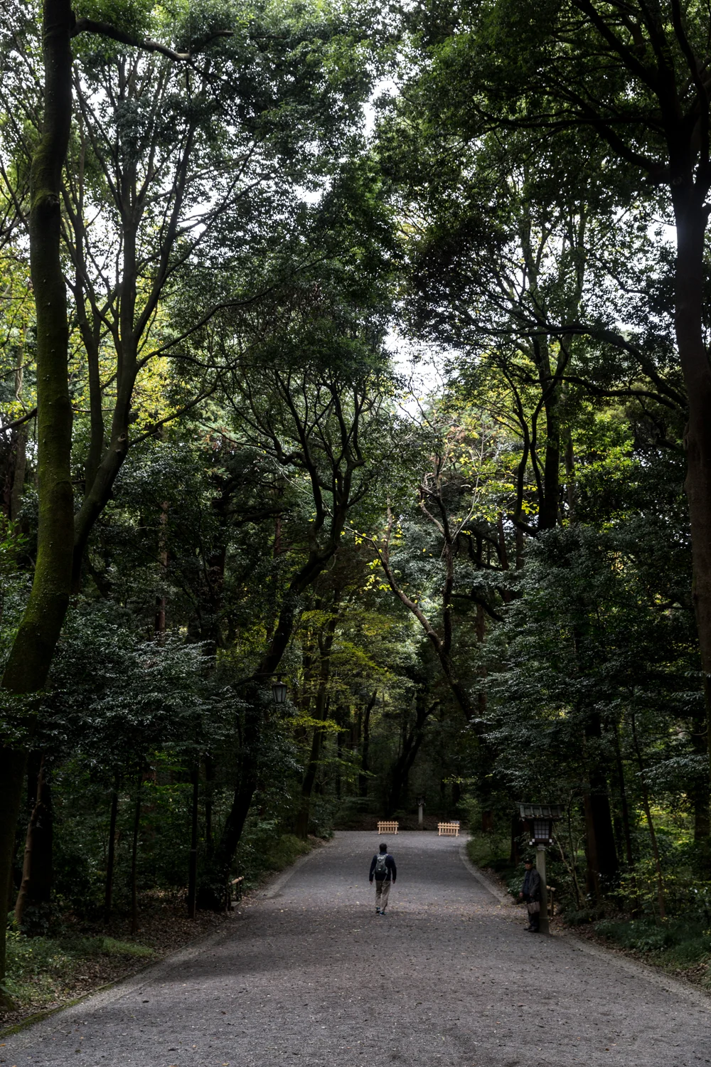 En route to Meji Shrine