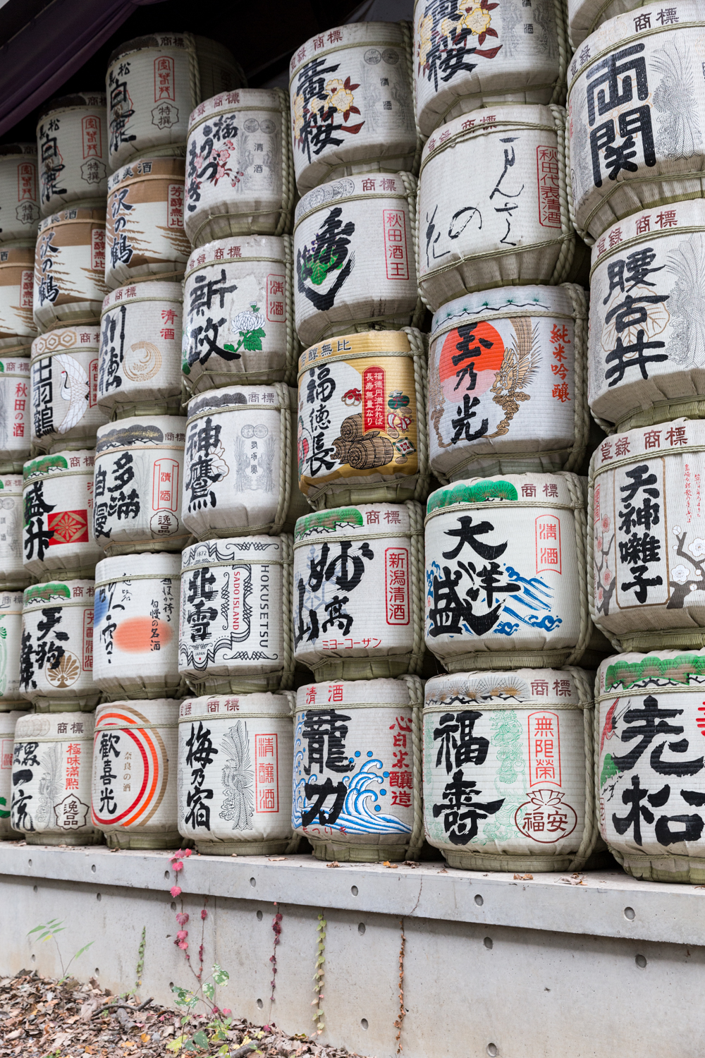 En route to Meji Shrine