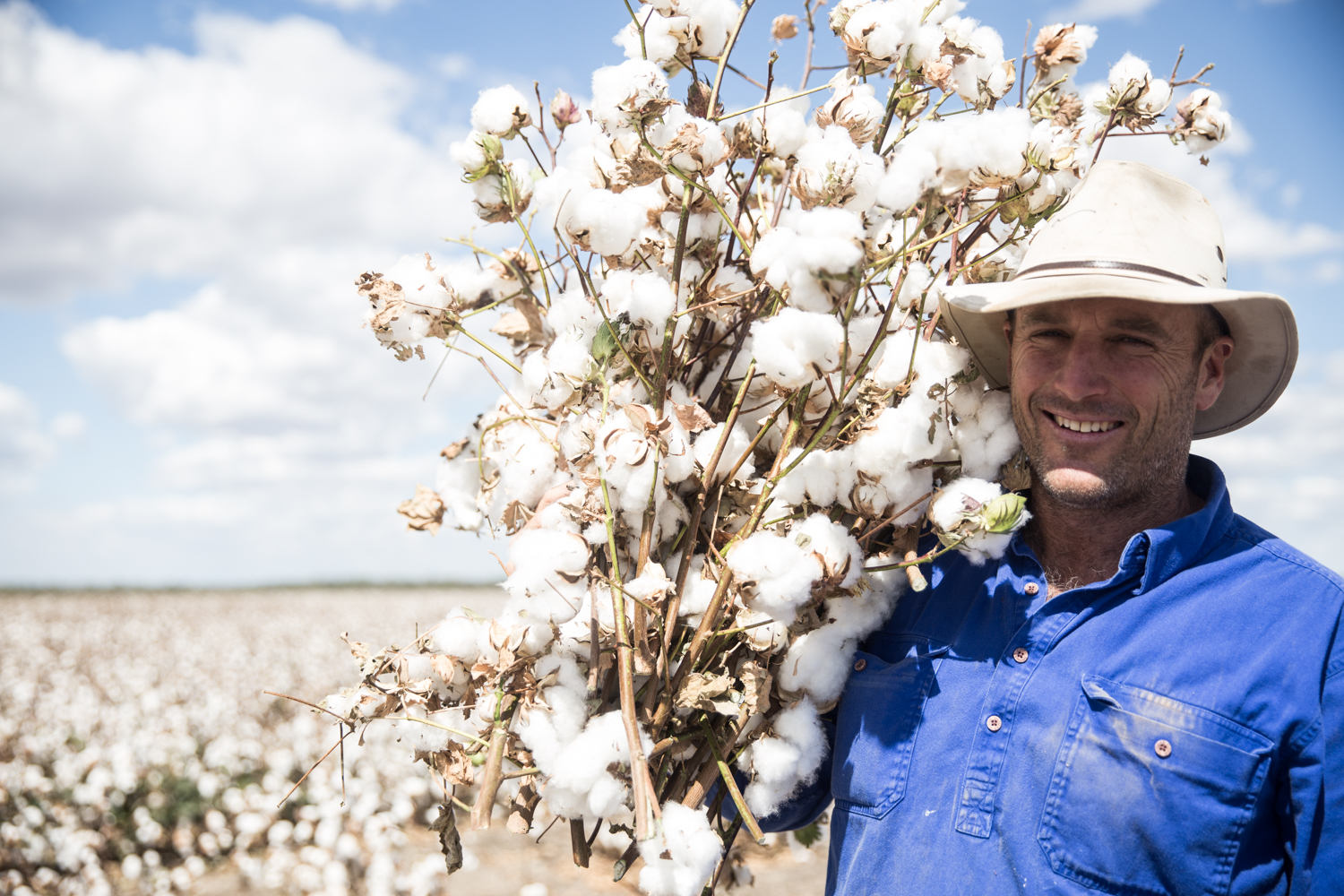 Ed the love of my life with his cotton.