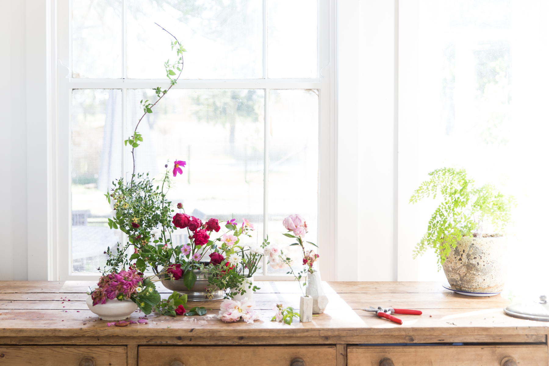 And here as above with the addition of more wilted peonies, strawberry leaves and a tall raspberry cane.