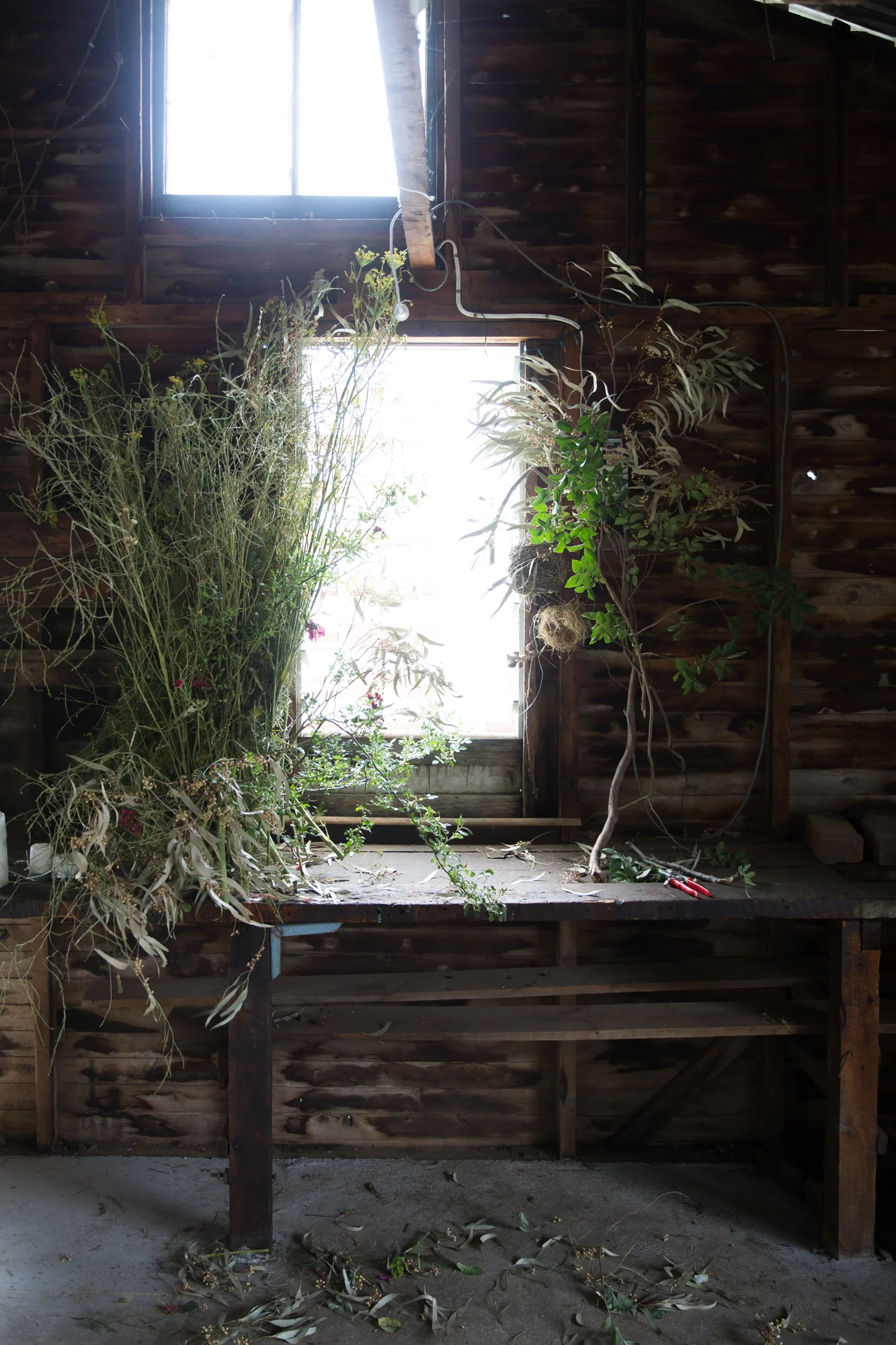 Le Shed