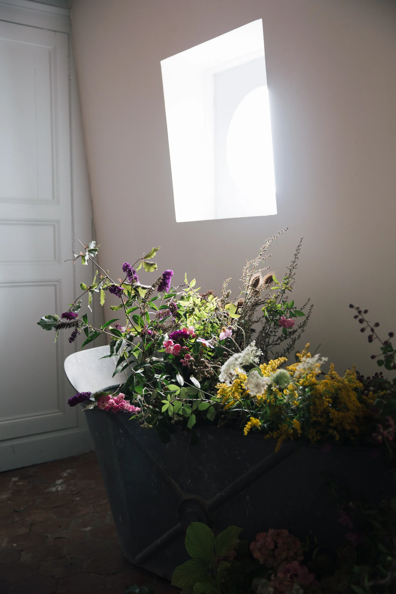 The flower class