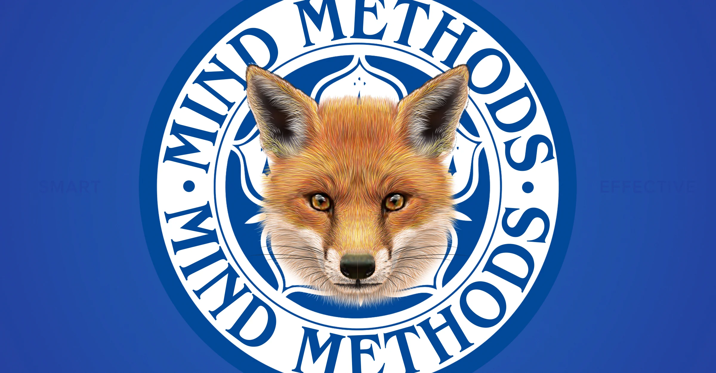 leicester-banner-a.jpg