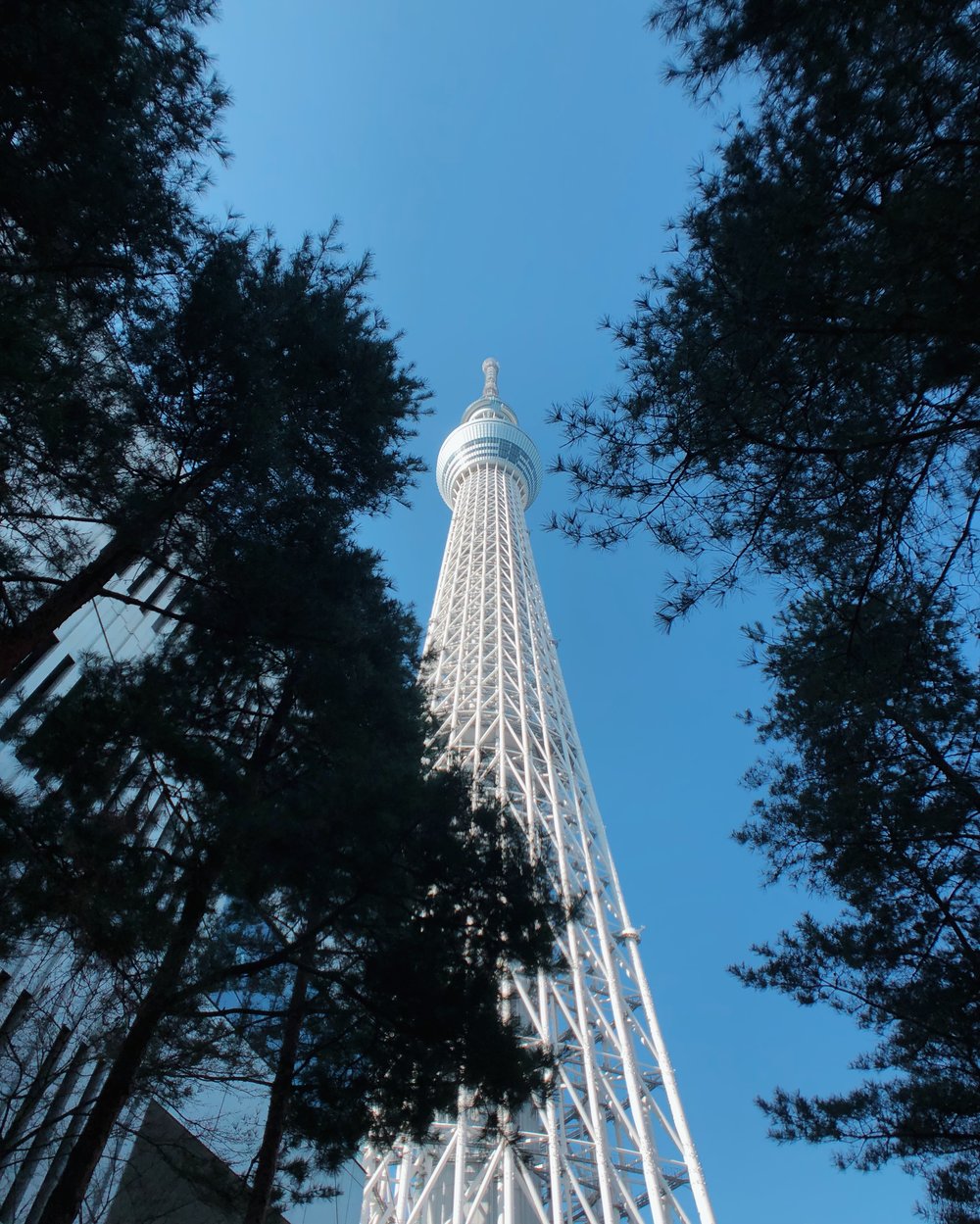 Tokyo Sky Tree. 