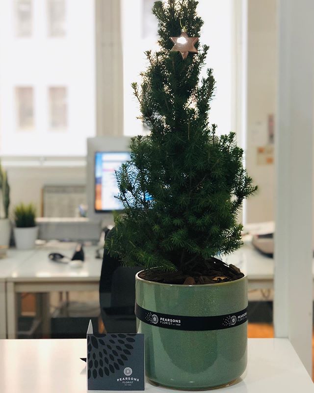 Thank you for thinking of us Dea! Nice to be loved at Xmas and the new office needed a tree 😀🥂🌲