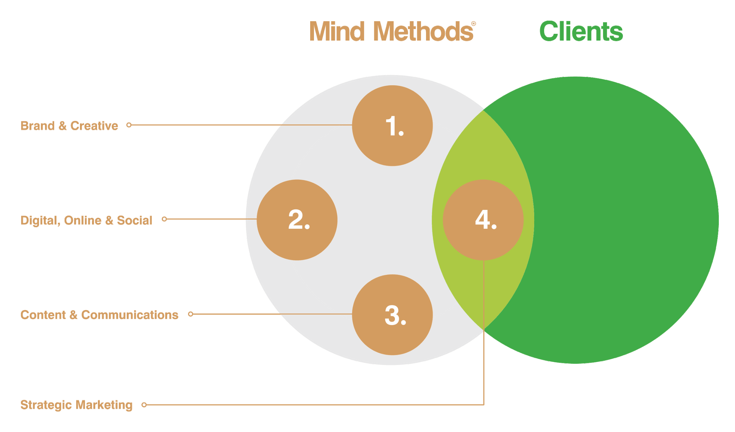 Complete Marketing Expertise