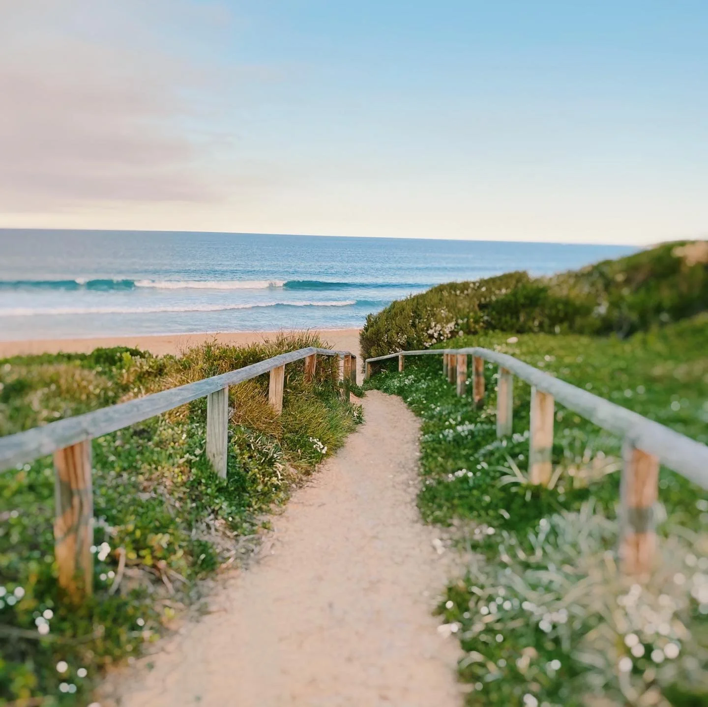 Clean Winter Waves #cleanleft #winterswell