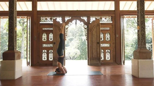 ✨New Video✨
.
.
.
Uploading a new class to the Online Yoga Practice Library on Sunday! .
.
.
It is a short tutorial we filmed in Bali
.
.
.
Can you guess the subject? First comment with the correct answer will get a code for a FREE video rental!!