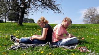 bild168586-resimage_v-tlarge169_w-320.jpg