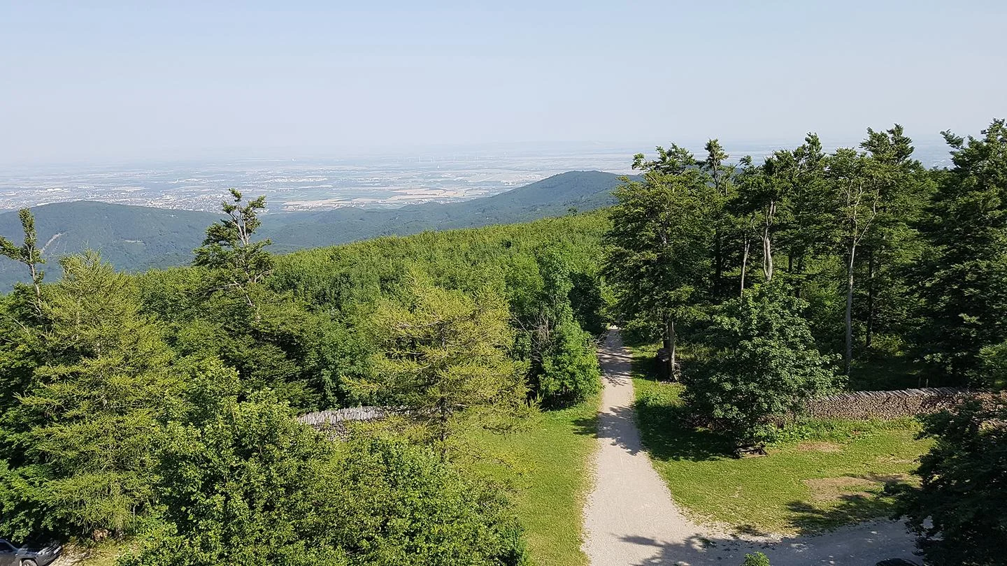15-Voralpenregion-Wienerwald100~_v-sr__169__1440.jpg