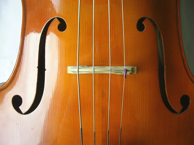 CelloCloseup3.jpg