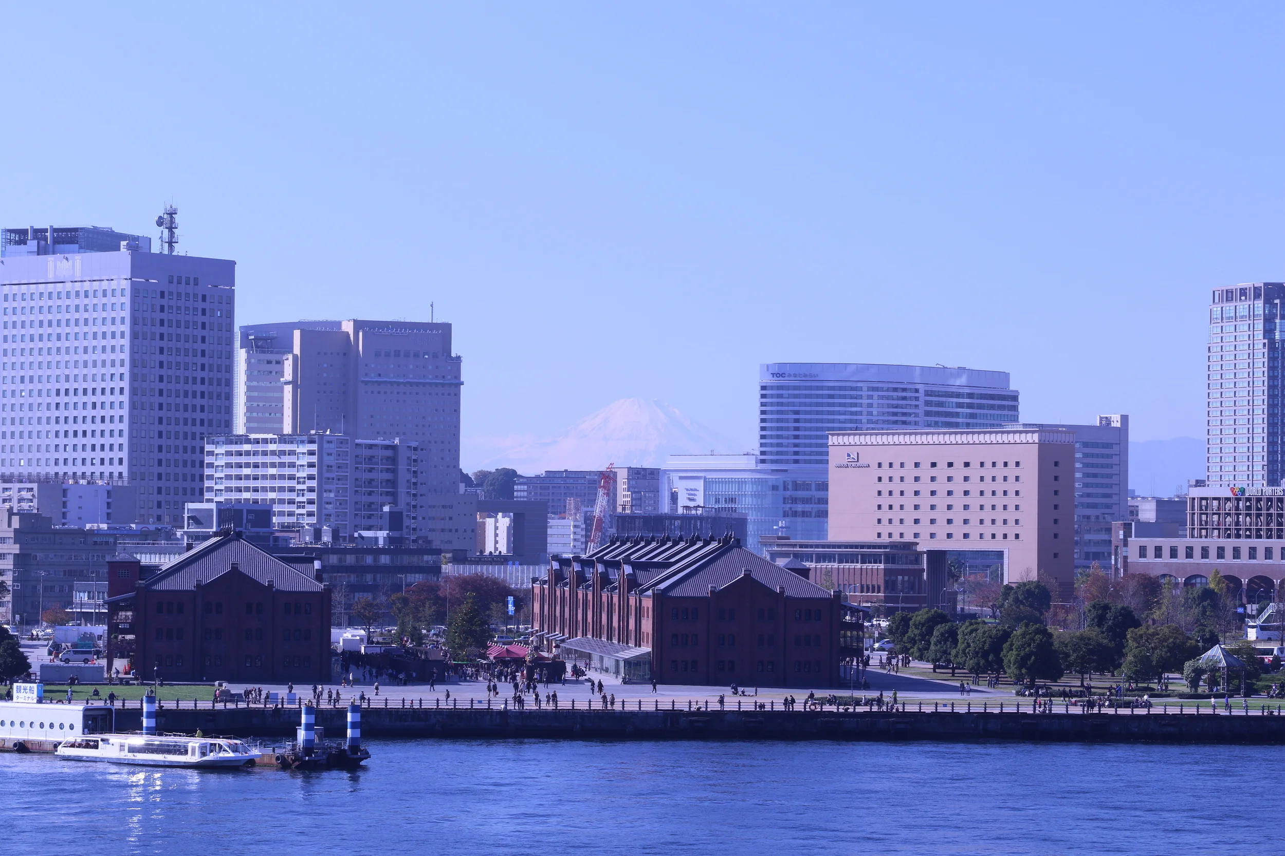 メンター(Mentor)って、なんだろう?