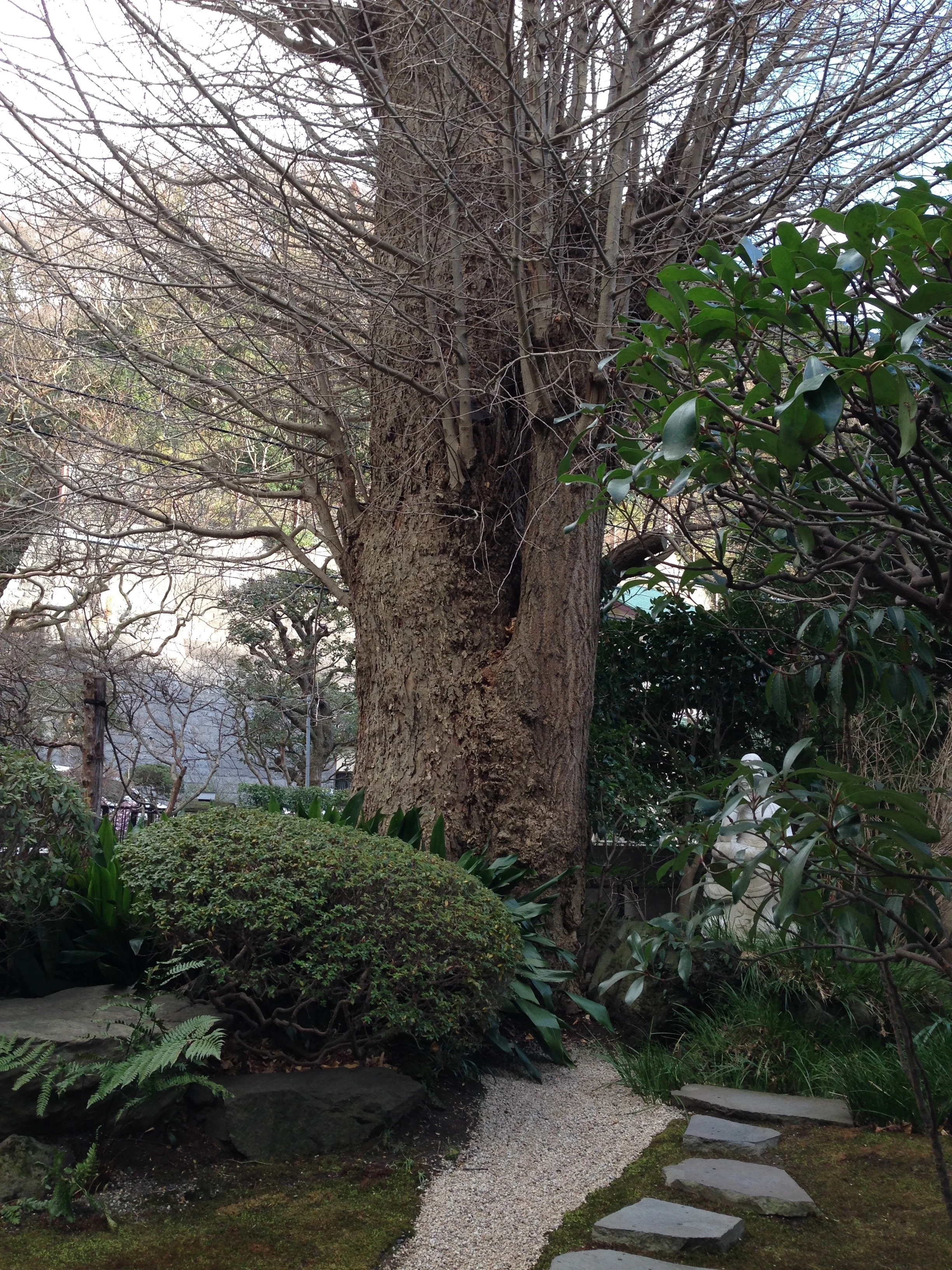 認定スクラムマスター研修に参加しました