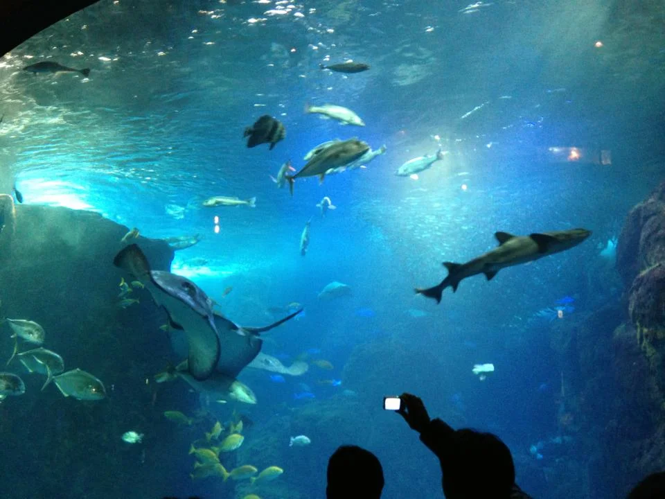 なるほどわかった！？色彩のお話し