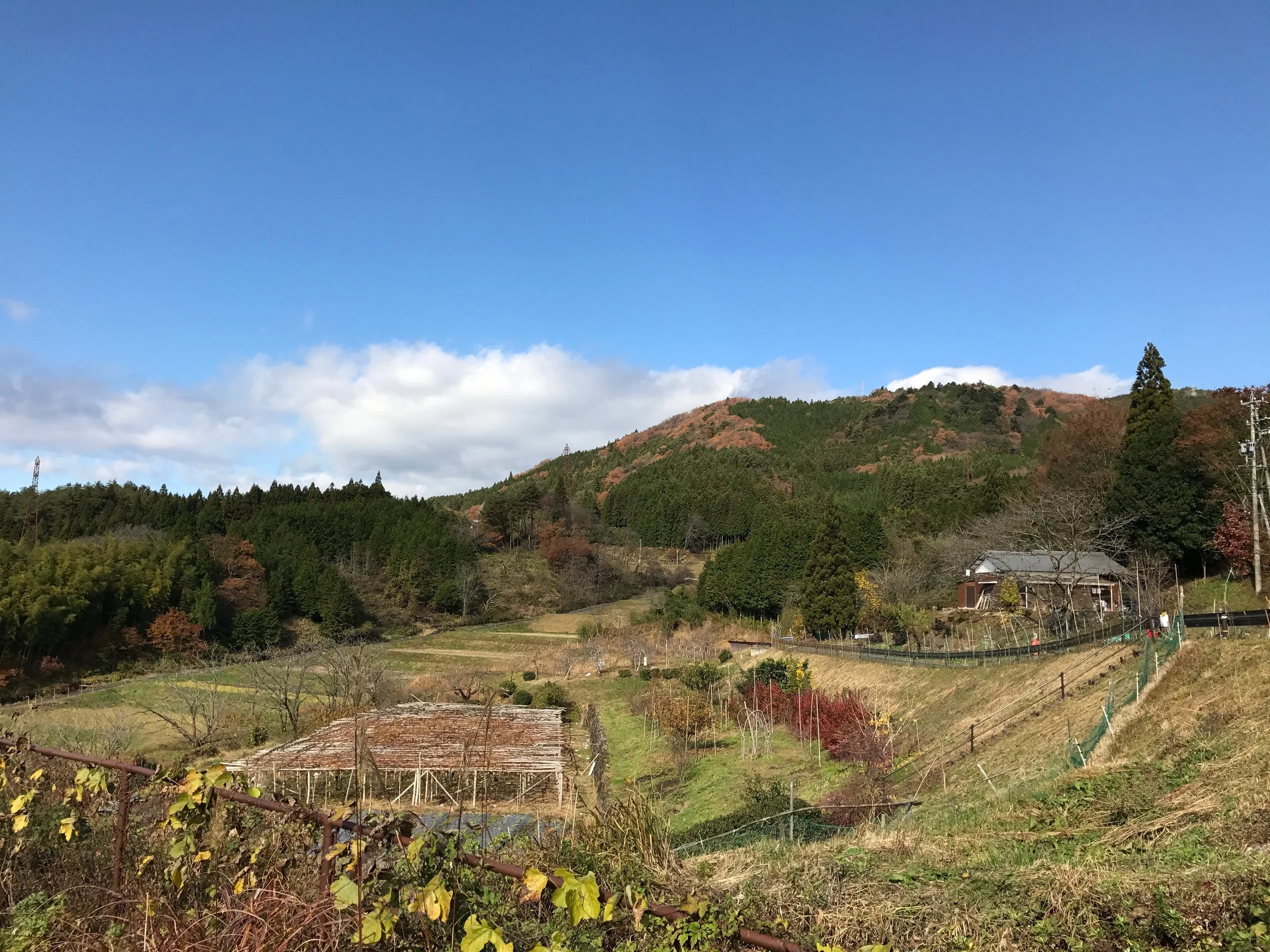 第13期を迎え