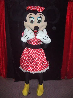 minnie mouse.jpg