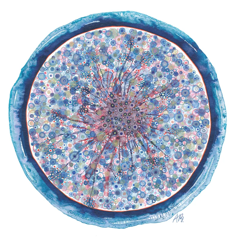 Blue plate , colored drawing ink and gelly rolls on 35x35cm paper.