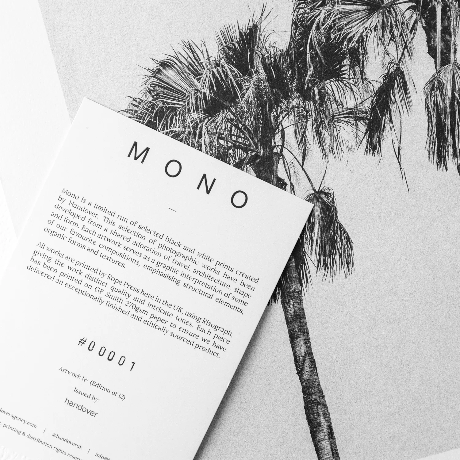 MONO - extra content-13.jpg