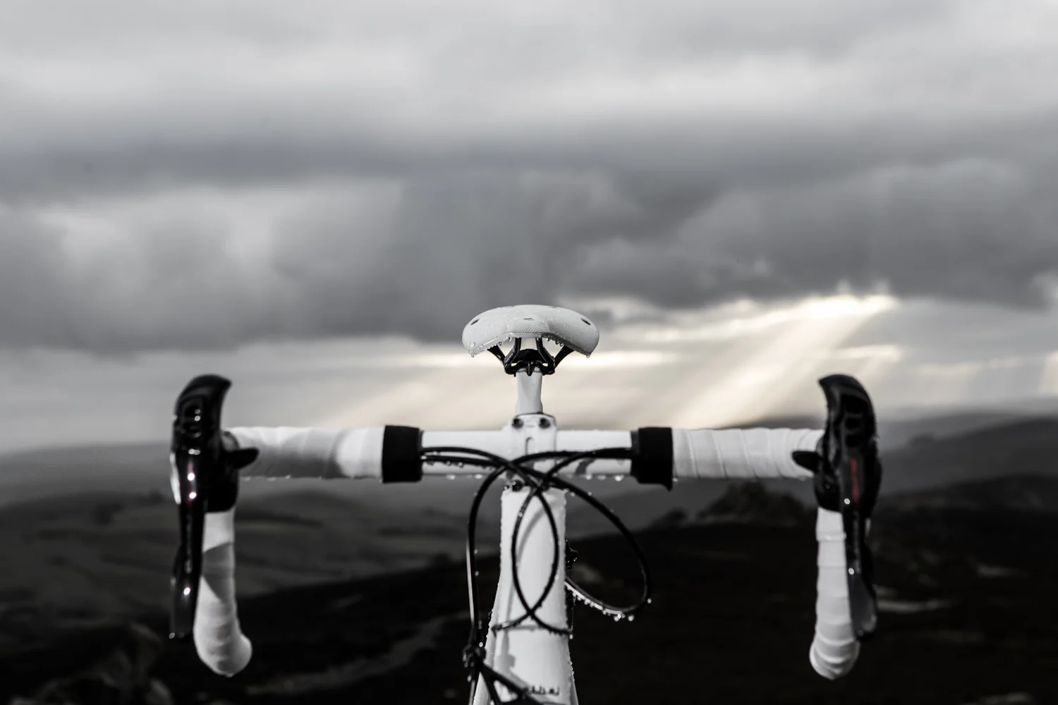 Brooks C13 - White - LR-17.jpg