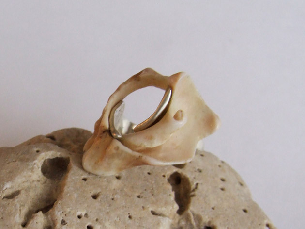 45 Fractal Shell ring.jpg