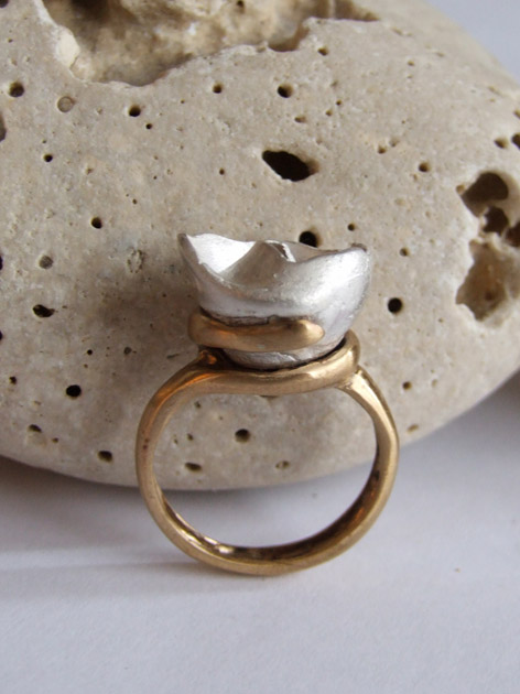 49 Helix shell ring.jpg