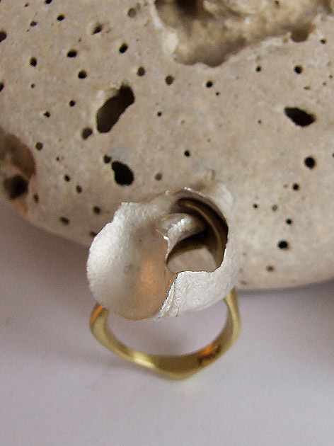 48 Curve shell ring.jpg