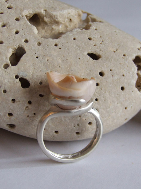 50 Helix shell ring.jpg