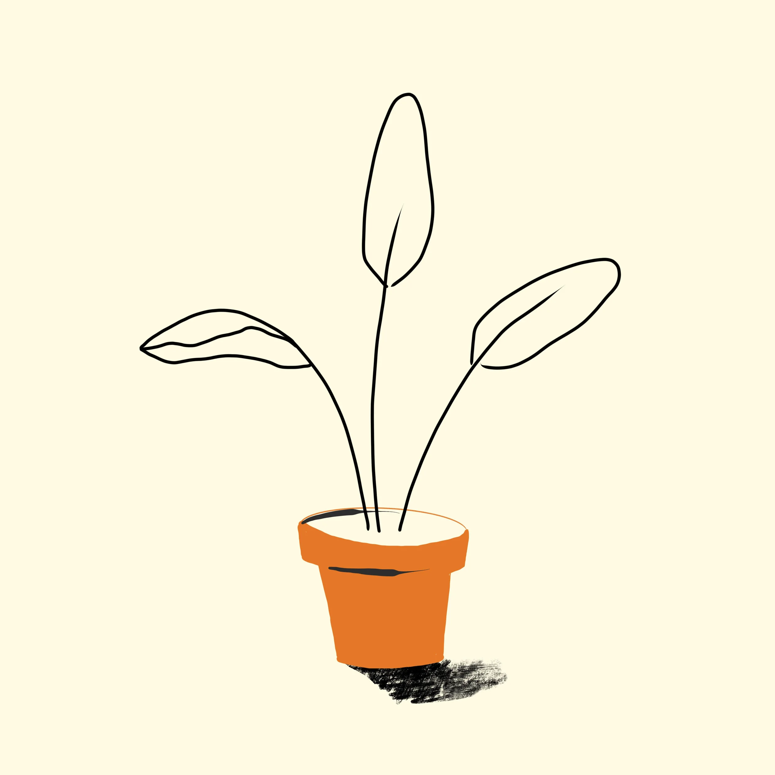 2019_White Bird Of Paradise_Illo.jpg