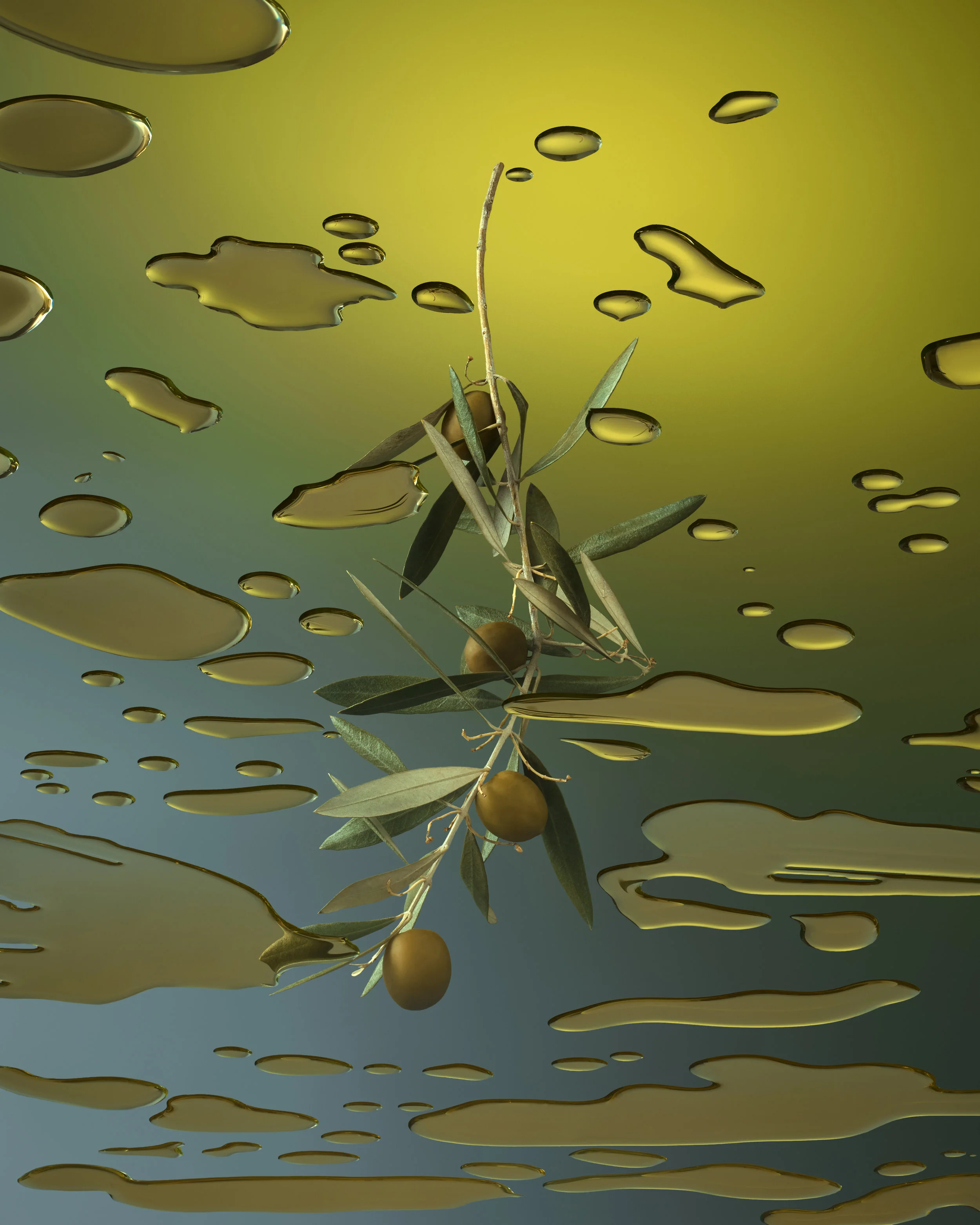 Olive.jpg